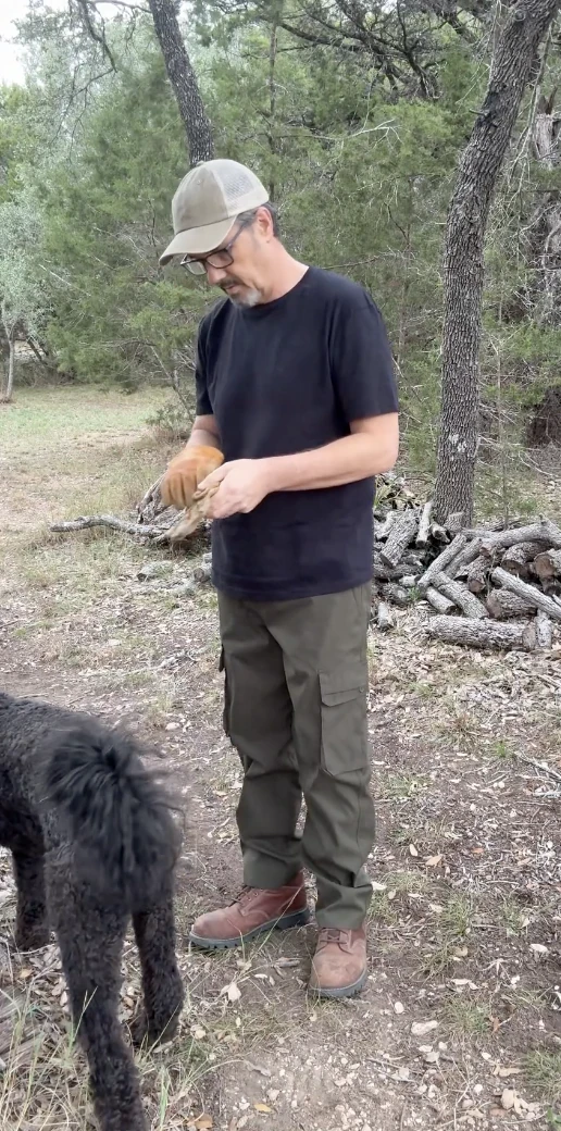 Review image review